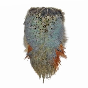 May include: A cluster of feathers, predominantly in shades of blue, green, and brown, with a touch of orange at the base. The feathers are arranged in a layered pattern, creating a textured appearance. The overall shape is elongated and tapered, suggesting a decorative element.