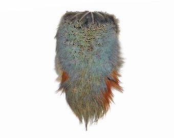 USA SELLER, 1 Piece - Natural Ringneck Pheasant Complete Rump Patch Feather Pelt Fly Tying Craft Supply : 3523