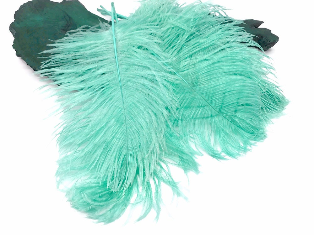 Mint Green Ostrich Feathers 12-14 inch 100 Pieces GA, USA 
