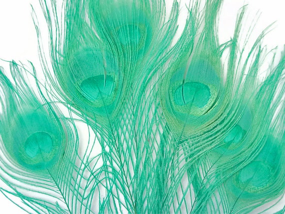 Natural Peacock Feathers. Long Dark Green Peacock Bird Feathers