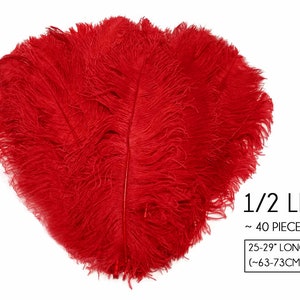 May include: A bunch of 40 red ostrich feathers, approximately 25-29 inches long, weighing 1/2 pound.