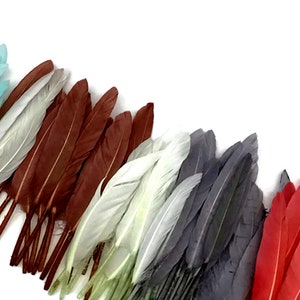 White Duck Feathers, 1 Pack Natural White Duck Cochettes Loose Feathers 0.30 oz. Craft Supply : 448 image 9