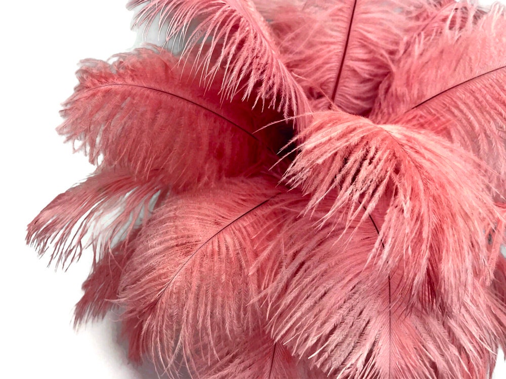 10 Plumas De Avestruz Multicolor (15-60 Cm) - Para Decoración De Bodas, Fiestas, Centros De Mesa, Manualidades Y Disfraces - Colores Vivos