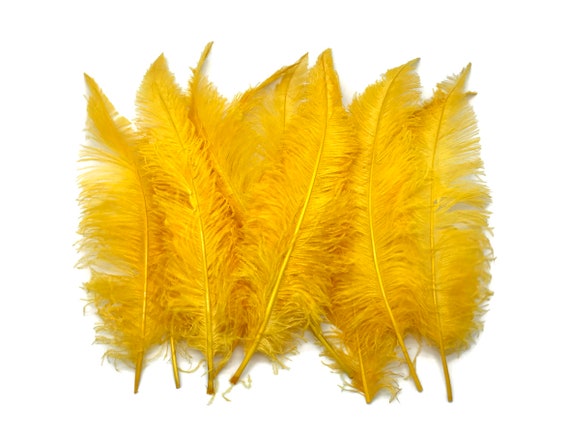 Ostrich feathers 2024 wholesale uk