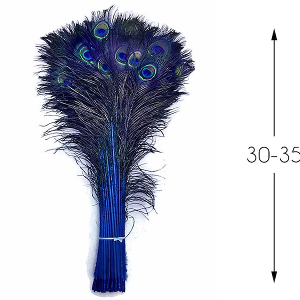 50 Pieces - 30-35" Royal Blue Dyed Over Natural Long Peacock Tail Eye Wholesale Feathers (Bulk) Halloween Costume Craft Supply : 4209