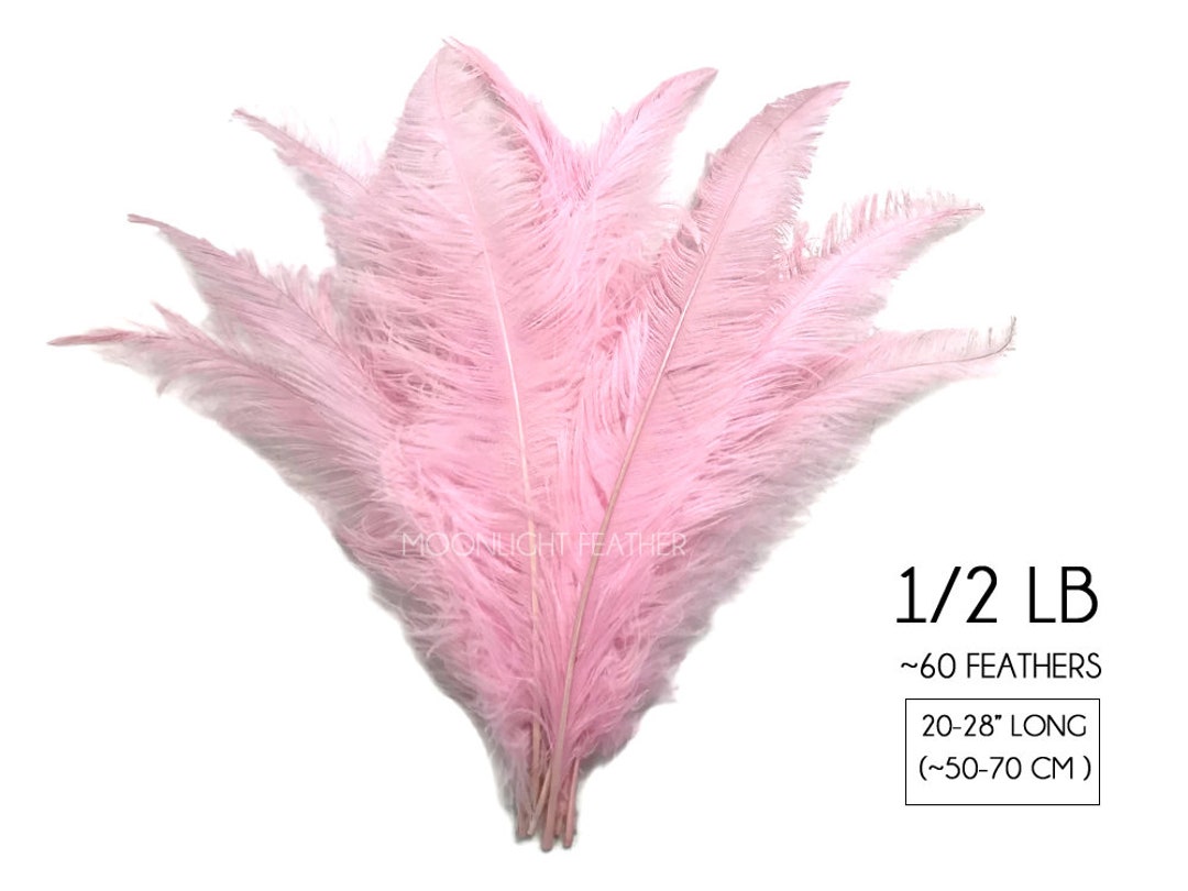 Ostrich Feathers 1/2 Lb 20-28 Light Pink Ostrich - Etsy