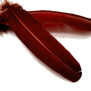 Ganzenveren, 6 stuks - wijnbruine kalkoenrondjes secundaire grote vleugel ganzenveren Ambachtvoorraad: 5058