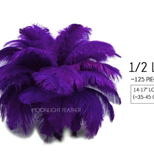 May include: A bunch of 125 purple ostrich feathers, approximately 14 to 17 inches long, weighing 1/2 pound.  The feathers are arranged in a cluster, with the tips of the feathers pointing outwards.  The text "MOONLIGHT FEATHER" is visible in the lower left corner of the image.