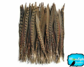 Tail Feathers, 10 Pieces - 8-10" NATURAL Ringneck Pheasant Tail Feathers : 3385