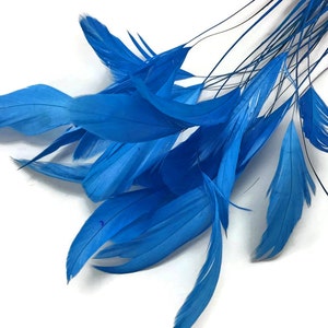 1 Dozen - Turquoise Blue Stripped Rooster Coque Tail Feathers Fly Tying Halloween Craft Supply : 344