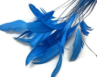 1 Dozen - Turquoise Blue Stripped Rooster Coque Tail Feathers Fly Tying Halloween Craft Supply : 344