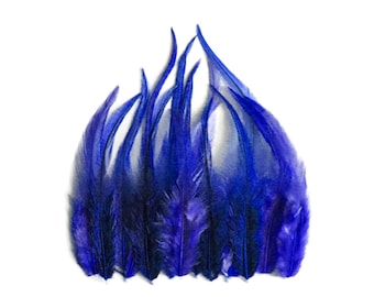 1 Dozen - Short Solid Royal Blue Whiting Farm Rooster Saddle Hair Extension Feathers Craft Supply : 747