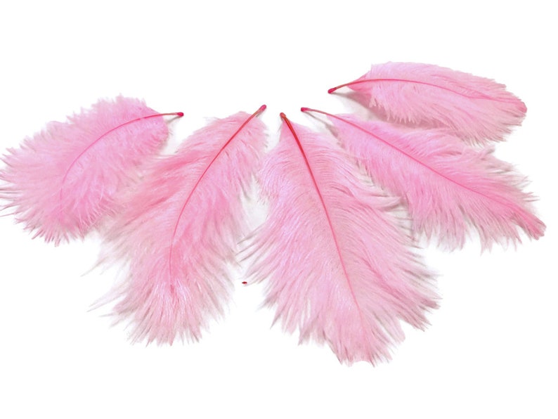 Mini Ostrich Feathers 1 Pack Light Pink Ostrich Small - Etsy