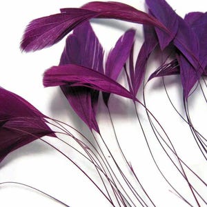 VENDEUR USA, 1 douzaine - Coq dépouillé violet queue de cils plumes costume de chapellerie derby de mariage artisanat Fourniture : 537