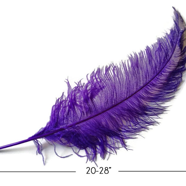 Purple Ostrich Feathers Etsy