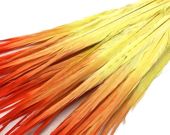 Feather Supply, 50 Pieces - 18-22" Orange Yellow Ombre Bleached and Dyed Long Ringneck Pheasant Tail Wholesale Feathers (Bulk) : 3985