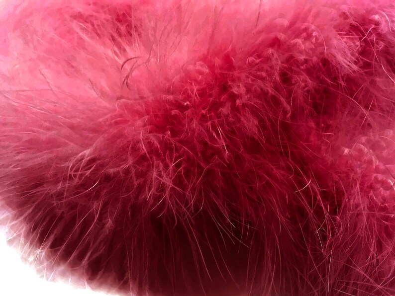 Puede incluir: Primer plano de una boa de plumas rosa suave y esponjosa. La boa est&aacute; hecha de muchas plumas peque&ntilde;as que est&aacute;n estrechamente unidas.