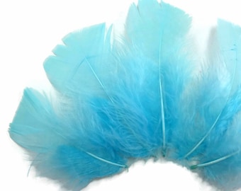 Turkey Feathers, 1/4 Lbs. - Light Blue Dyed Turkey T-Base Body Plumage Wholesale Feathers (bulk) Carnival Craft Supply : 3810