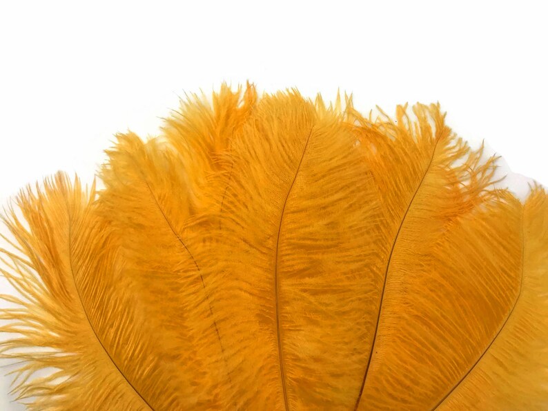 Mardi Gras Wedding Supplier 12 lb : 2052 17-19 Golden Yellow Large Ostrich Drab Plumage Wholesale Feathers Wholesale Feathers bulk