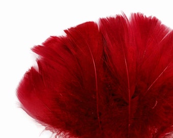 Burgundy Goose Nagoire Loose Feathers for Sale | Buy Goose Feathers Online