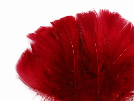 Loose best sale ostrich feathers