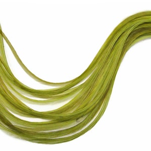 6 Pieces - XL Solid Olive Green Thin Whiting Farm Rooster Hair Extension Feathers 11" and Up Fly Tying Craft Supply : 483