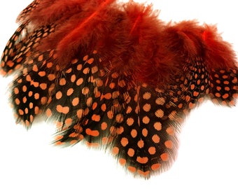 Wholesale Loose Feather, 1 Pack - Orange Guinea Hen Polka Dot Plumage Feathers 0.10 Oz. Craft Supply : 632