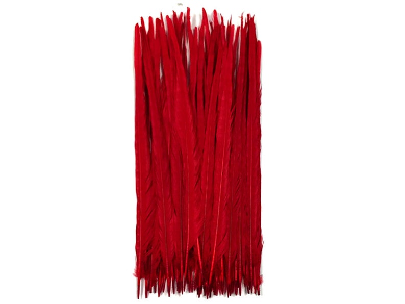 Feather Supply 50 Pieces 2022 Red Bleached and Dyed Etsy