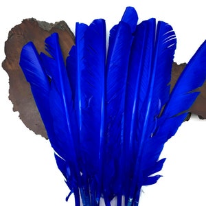 Puede incluir: Un conjunto de plumas de color azul vibrante, dispuestas en forma de abanico. Las plumas son de un azul profundo y saturado, con un brillo brillante. El fondo presenta un trozo de madera oscura y texturizada.