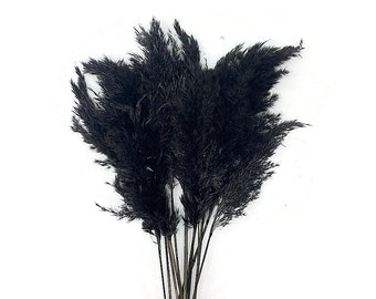 USA SELLER, 5 Pieces - 18-20" Dyed Black Preserved Dried Plume Pampas Reed Grass Wedding Arch Decor : B0013