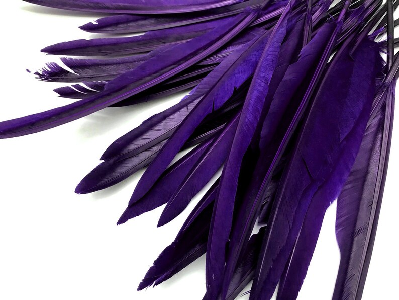 Wing Feathers 1/4 Lb. Purple Goose Pointers Long Primaries Etsy