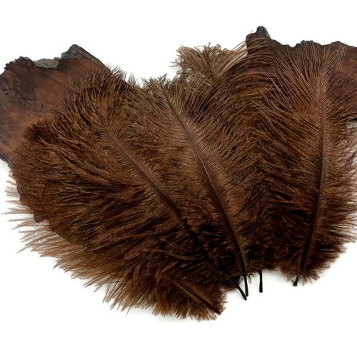 Wholesale Wedding Feathers, shops 100 Pieces - 11-13
