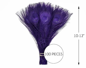 100 Pieces – Eggplant Bleached & Dyed Peacock Tail Eye Wholesale Feathers (Bulk) 10-12” Long Halloween Craft Supply : 1291