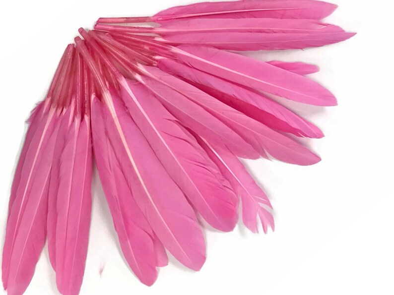 Duck Feathers 500 Pieces Candy Pink Duck Cochettes Etsy