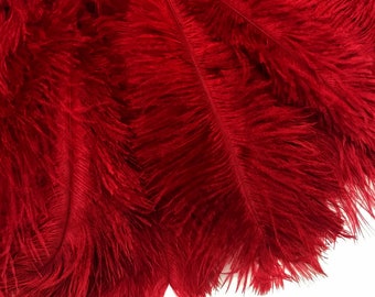 Ostrich Feathers, 10 Pieces - 8-10" Red Ostrich Dyed Drabs Feathers Party Centerpiece Supplier : 2059