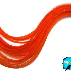 Orange Hair Feathers, 6 Pieces - XL Solid Orange Thin Extra Long Rooster Hair Extension Feathers : 485