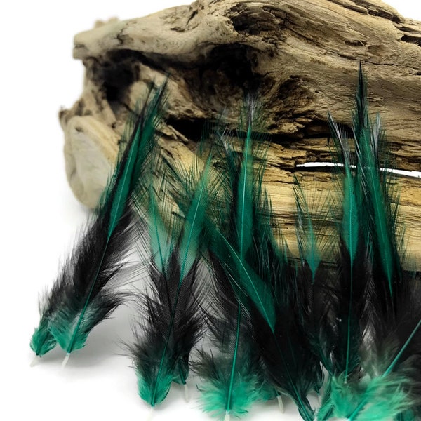Raindrop Feathers, 10 Pieces - Peacock Green Dyed BLW Laced Short Rooster Cape Whiting Farms Feathers : 3195