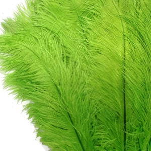 200 Feathers 9-13 Lime Green Ostrich Drab Body Plumage Wholesale Feathers Bulk Carnival Party Centerpiece : 2095-D image 7