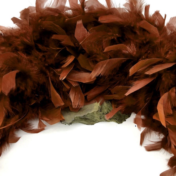 2 Yards - Brown Heavy Weight Chandelle Feather Boa | 80 Gram Craft Boa Halloween Supplier | 80 Gram  : 5121