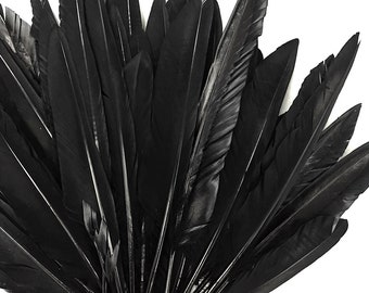 Large Black Wing Feathers, 1 Pack - Black Dyed Duck Primary Wing Pointer Feathers 0.50 Oz. : 3630