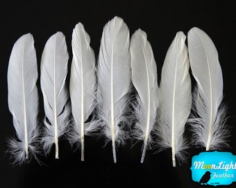 White Goose Feathers, 1 Pack - WHITE Goose Satinettes Loose Feathers - 0.3 oz. : 174