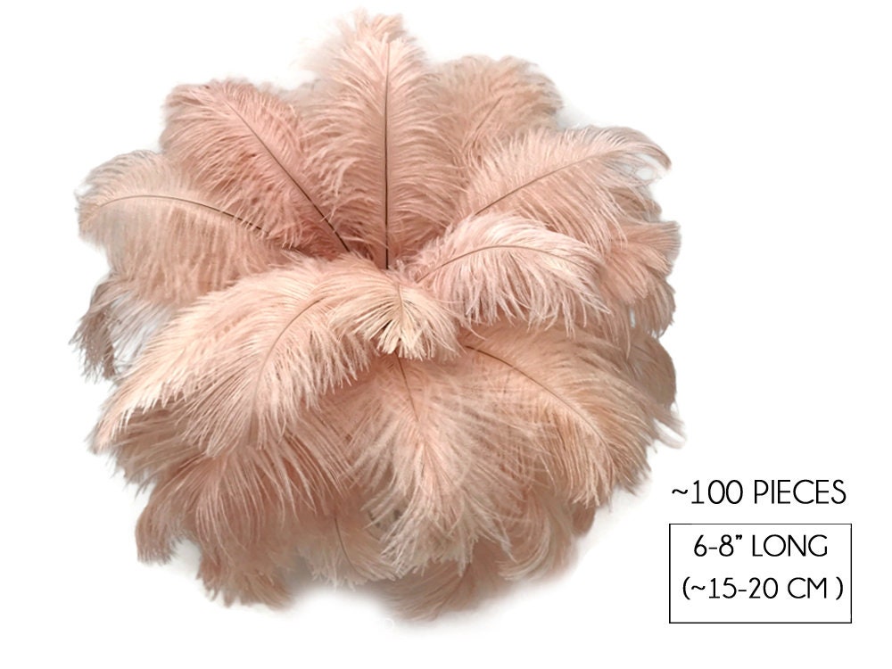 10 Pc BLUSH OSTRICH FEATHERS 12-14/14-16/16-18 Blush Feathers/pink Feather/pastel  Ostrich Feathers/blush Wedding/blush Centerpiece 