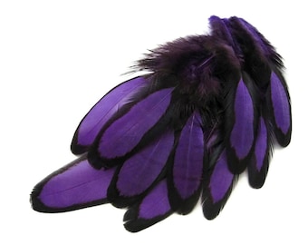 Purple Laced Feathers, 1 Dozen Purple Whiting Farms Laced Hen Saddle Loose  BLW Feathers : 429 