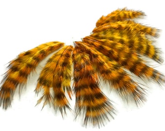 Fluffy Feathers, 1 Dozen - GOLD Grizzly Rooster Chickabou Fluff Mini Feathers : 848