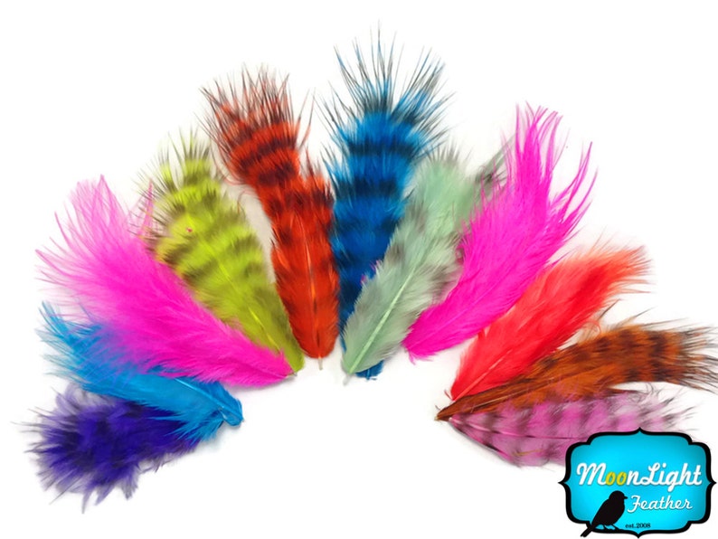 Plumes De Coq Jaunes - Lot D'environ 70 Plumes De 10 Cm - Pour Déco, Déguisements, Mariage, DIY - Couleur Vive