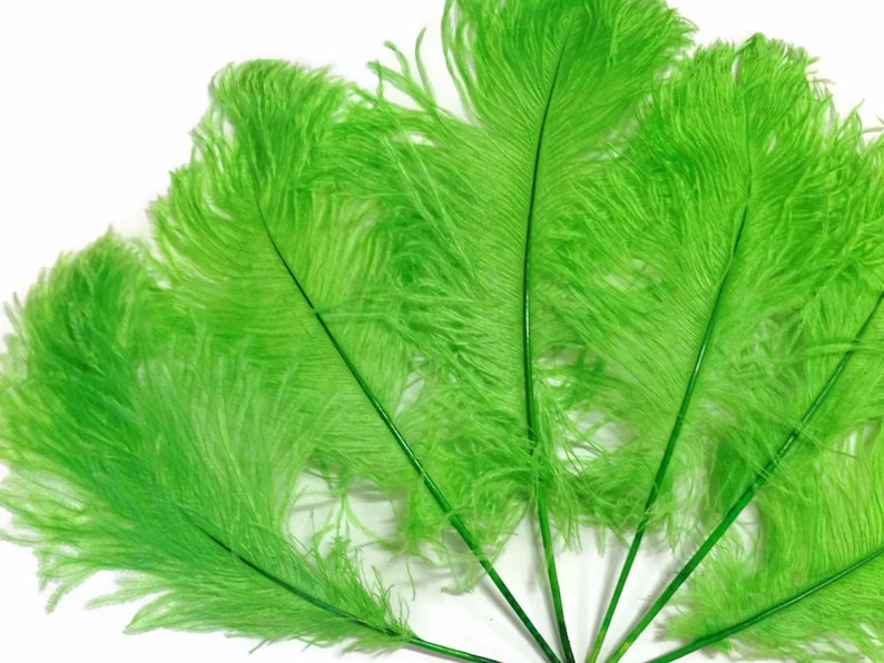 3498 10 Pieces Ostrich Feathers 12-16 Lime Green Dyed Ostrich Tail Fancy Feathers Centerpiece Craft Supplier