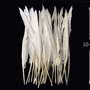 Feathers, 10 Pieces - Natural White Goose Pointers Long Primaries Wing Feathers : 4073