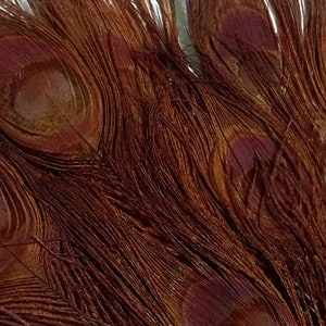 100 Pieces Chocolate Brown Bleached & Dyed Peacock Tail Eye Wholesale Feathers Bulk 10-12 Long Halloween Craft Supply : 1303 image 5