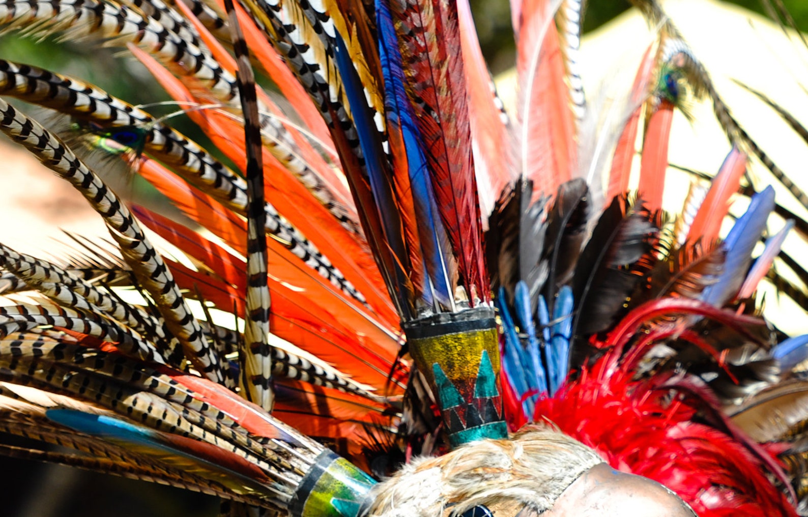 Feather Supply 50 Pieces 2022 Red Bleached and Dyed Etsy