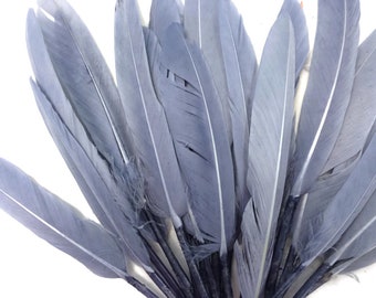 Duck Feathers, 500 Pieces - Silver Gray Duck Cochettes Wholesale Loose Feathers (Bulk) Craft Supply : 3130